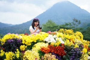 Batu Flower Garden